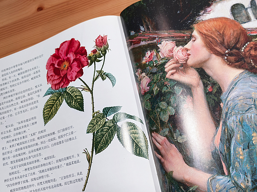 花果树的动人传说