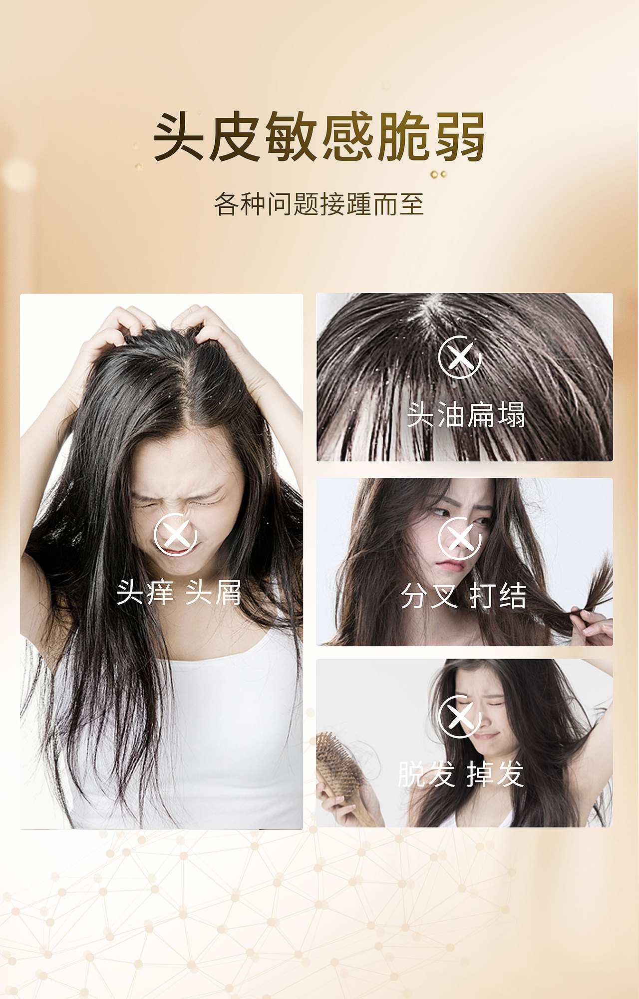 洛秋——丰盈强韧洗发水——详情页切图