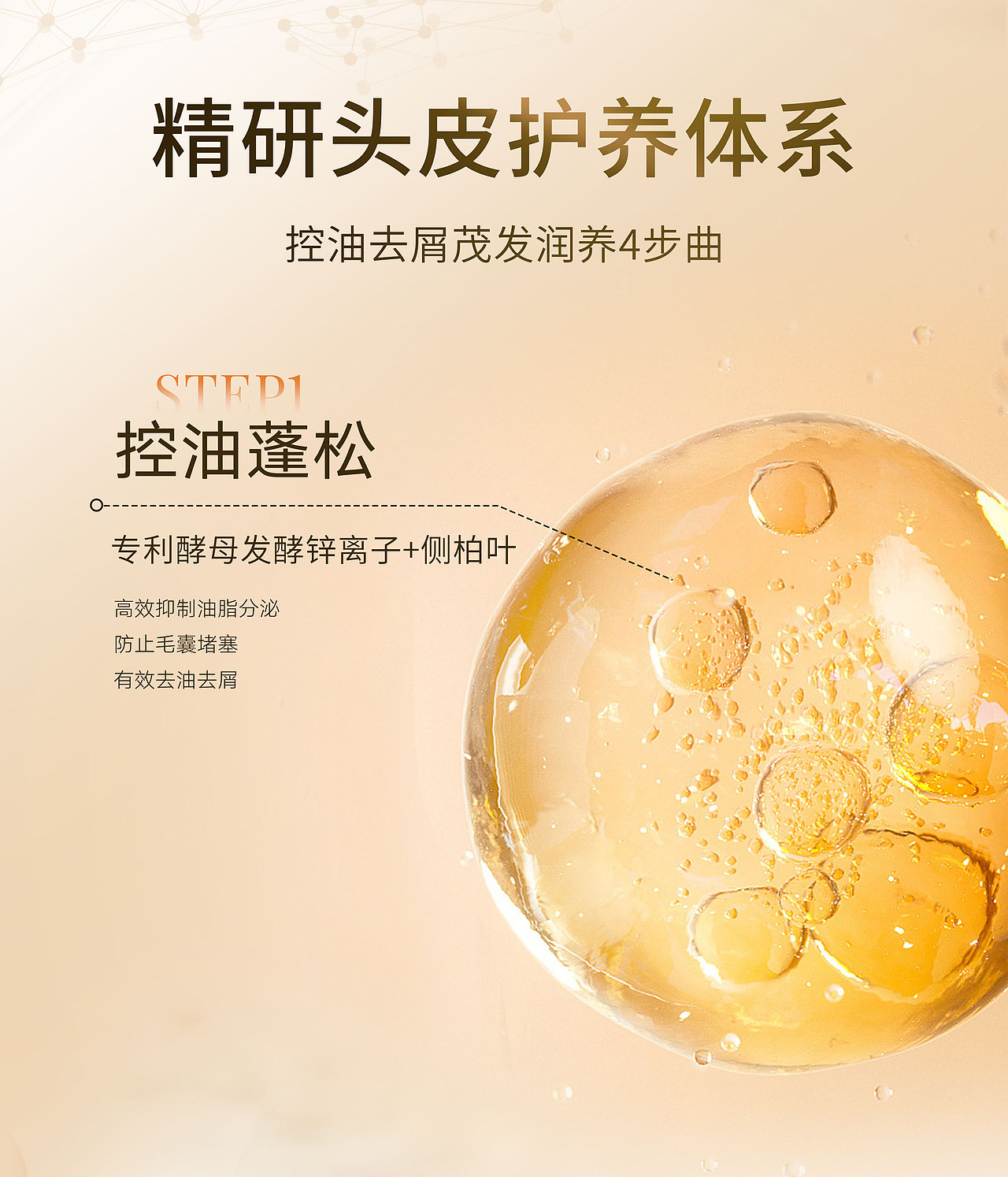 洛秋——丰盈强韧洗发水——详情页切图