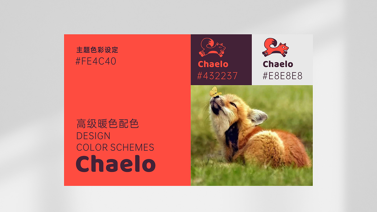 绒毛玩具品牌LOGO设计