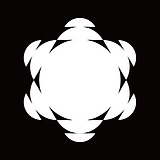 大猫404的头像