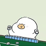 鹅飞鹅跑鹅碰鹅的头像