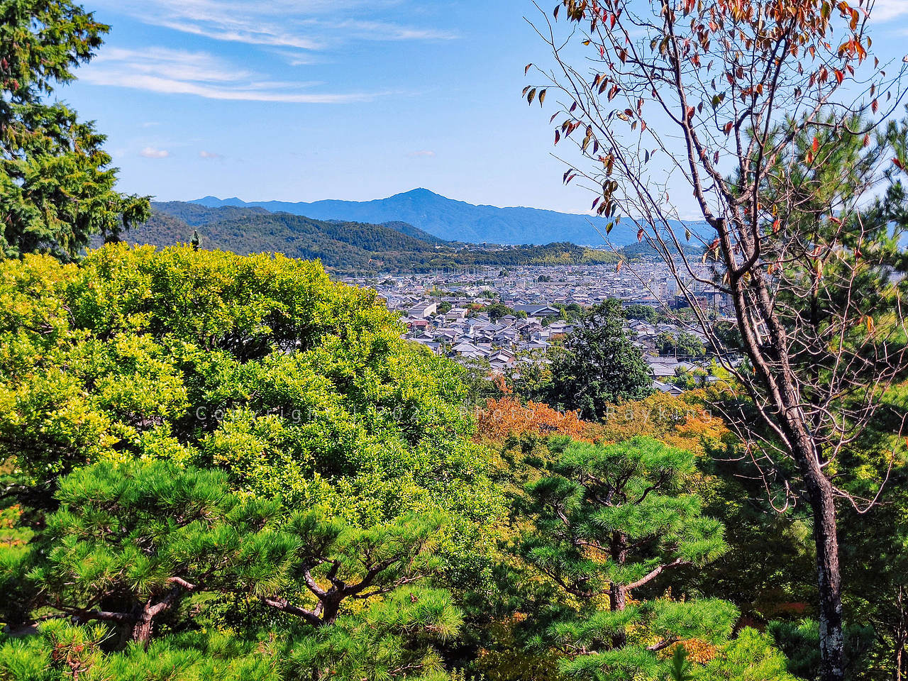 京都岚山，山野自然与禅佛人文之趣（图ZMzc5Nzk1NDk2） - 风光摄影 - 站酷设计师金钻子原创素材 - 站酷ZCOOL
