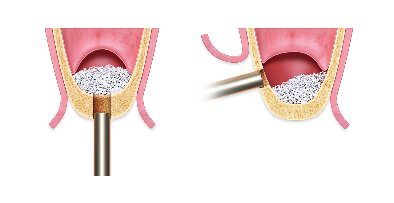 诺齿品牌形象VI设计