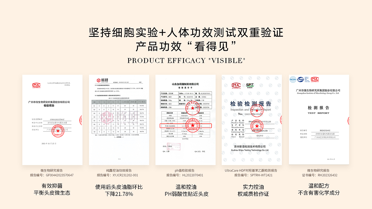 洛秋——品牌手册
