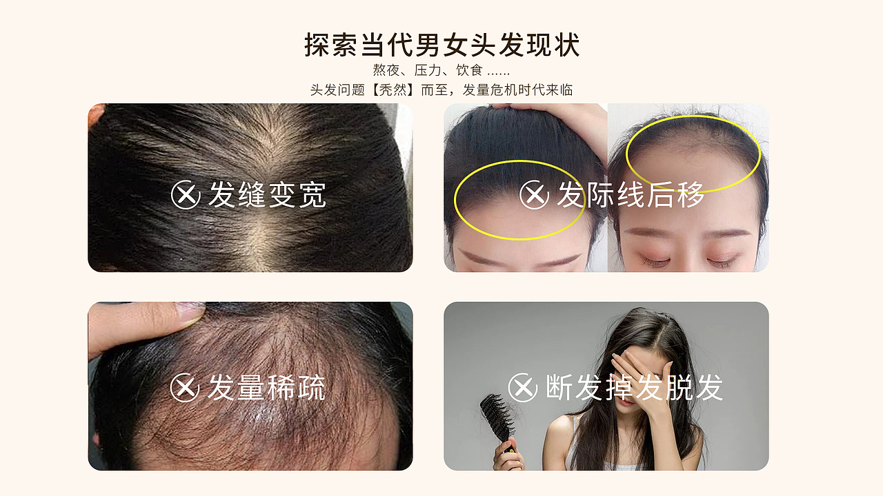 洛秋——品牌手册