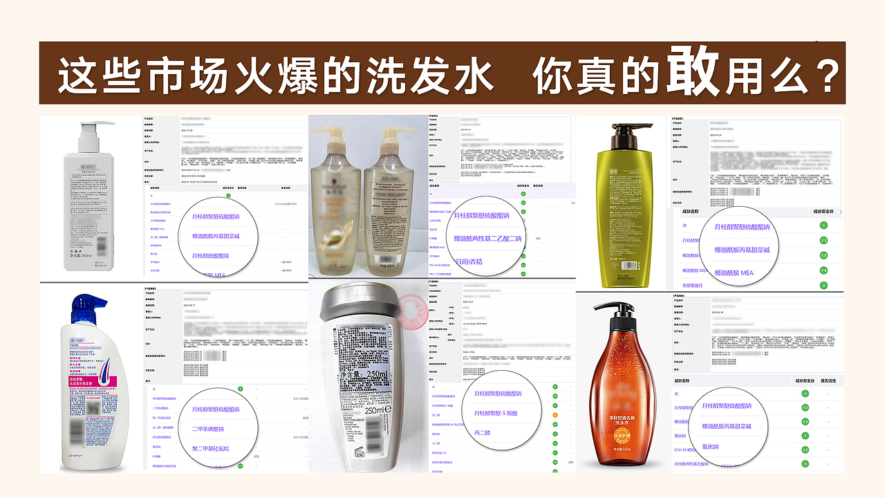 洛秋——品牌手册