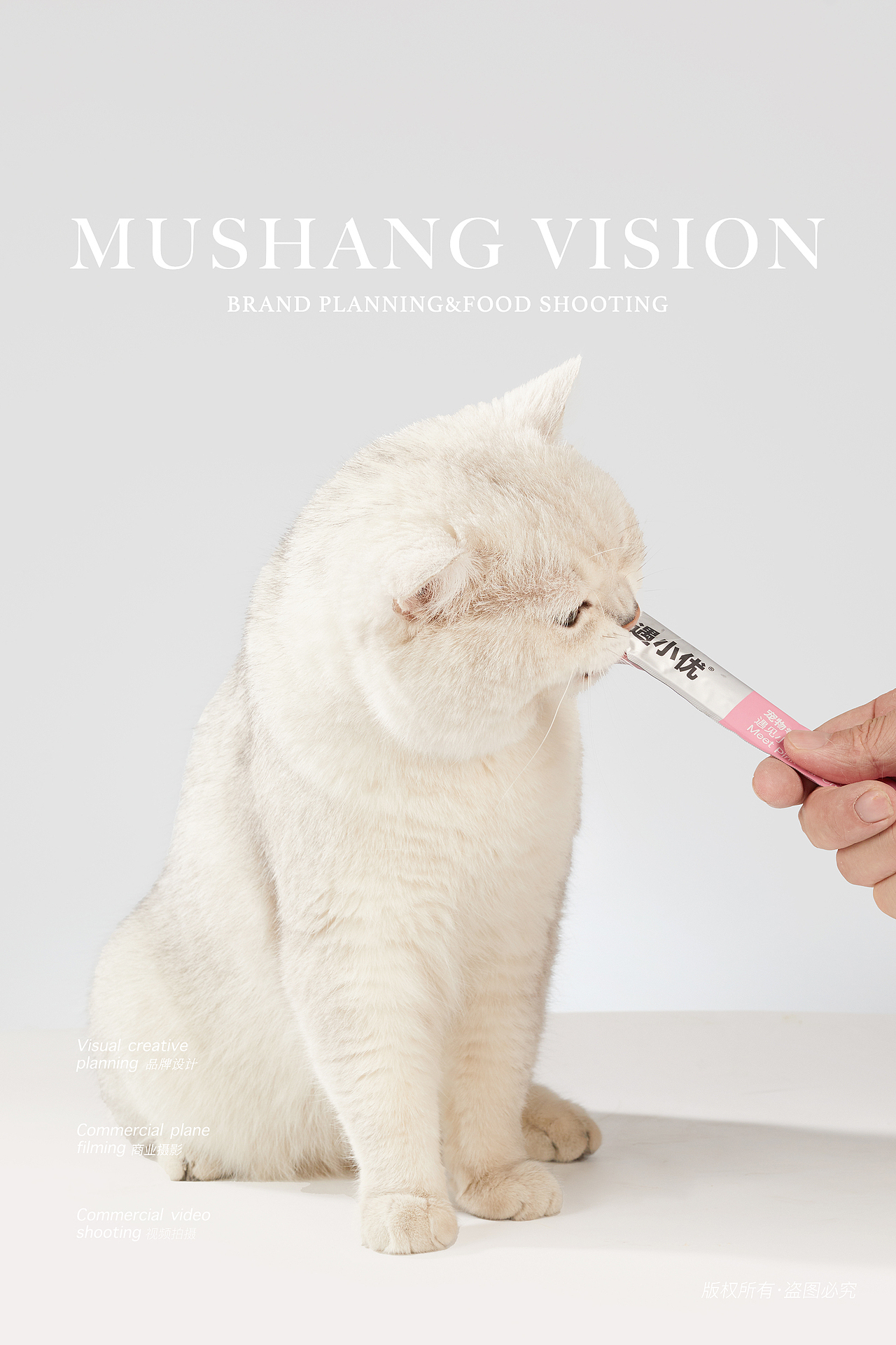 宠物零食猫条拍摄