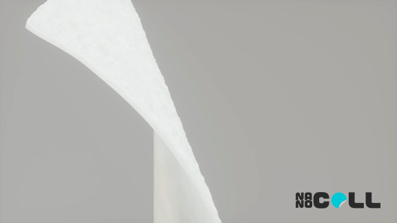 诺齿品牌形象VI设计