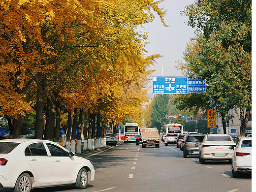 方形广场的银杏（个人主页-ZNzA2OTQ4MDQ=） - 风光摄影 - 站酷设计师沫然不忘原创素材 - 站酷ZCOOL