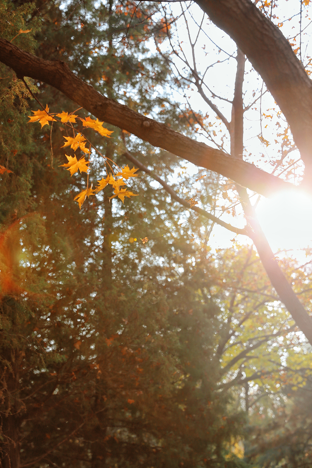 十月末的南湖公园