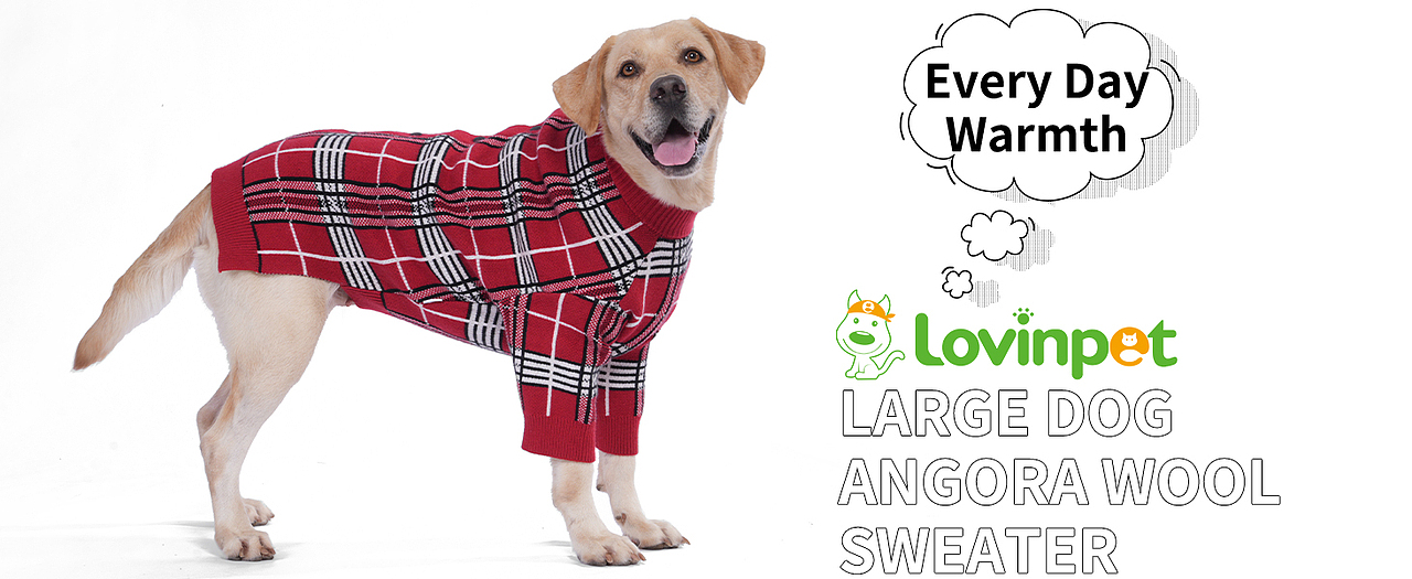 亚马逊主图设计视频制作宠物产品广告摄影详情制作淘宝