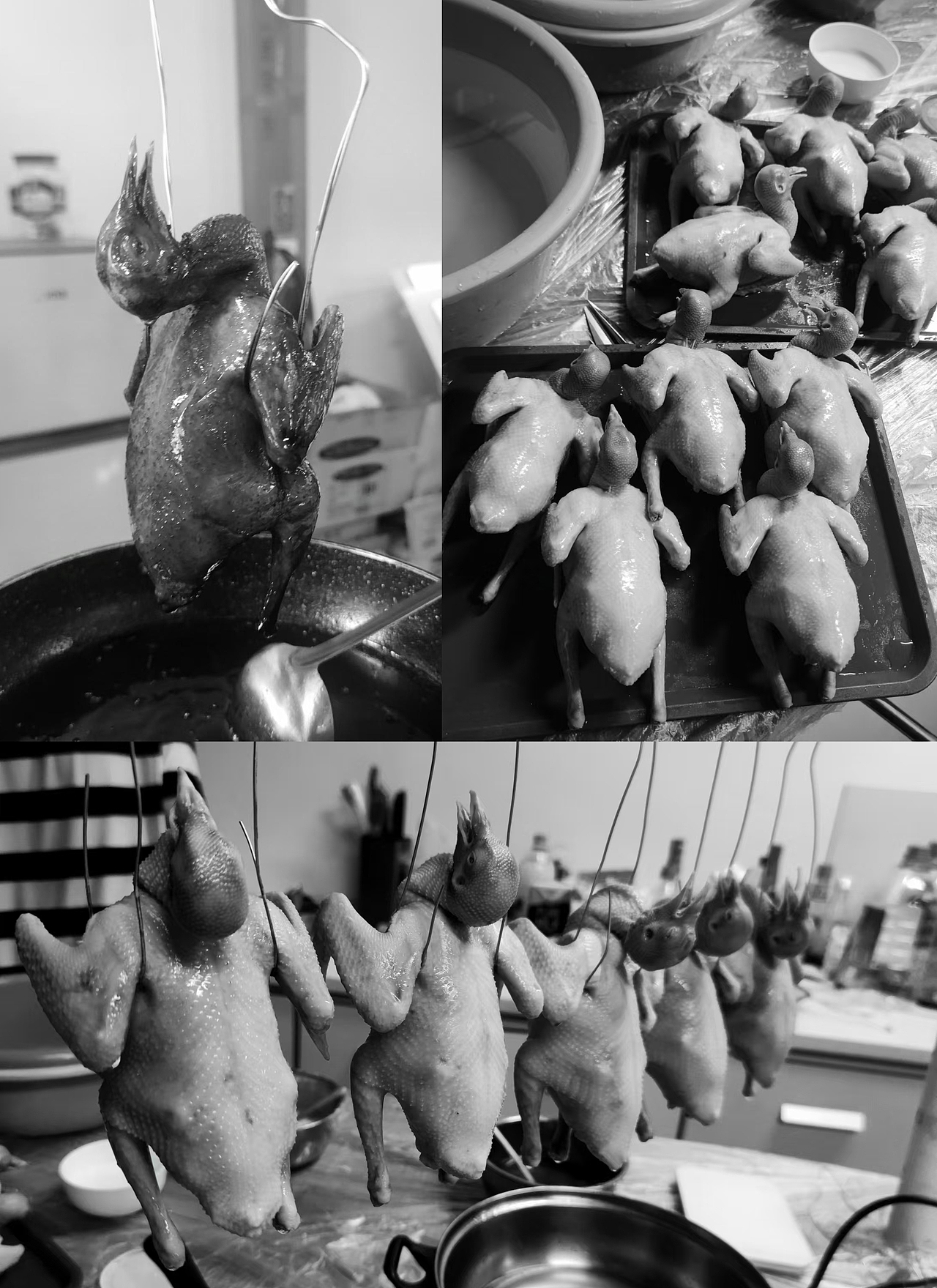 乳鸽产品拍摄 | 广州酒家X壹陆视觉