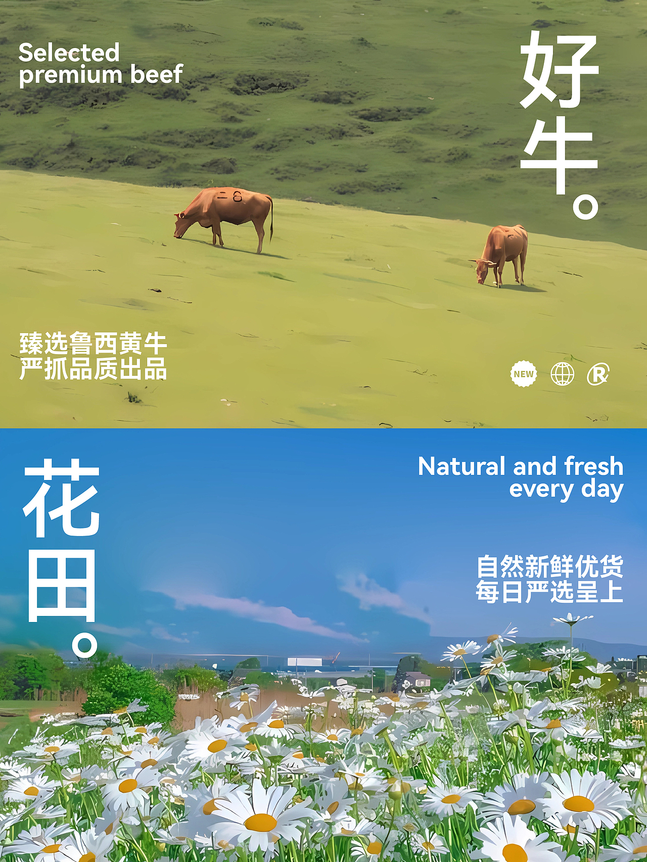 花田煮鲜牛肉火锅ip设计