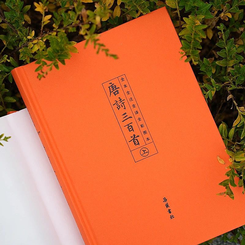 唐诗三百首（全本全注全译全彩图本）（图ZMzc5ODc0MTIw） - 书籍/画册 - 站酷设计师优文设计原创素材 - 站酷ZCOOL