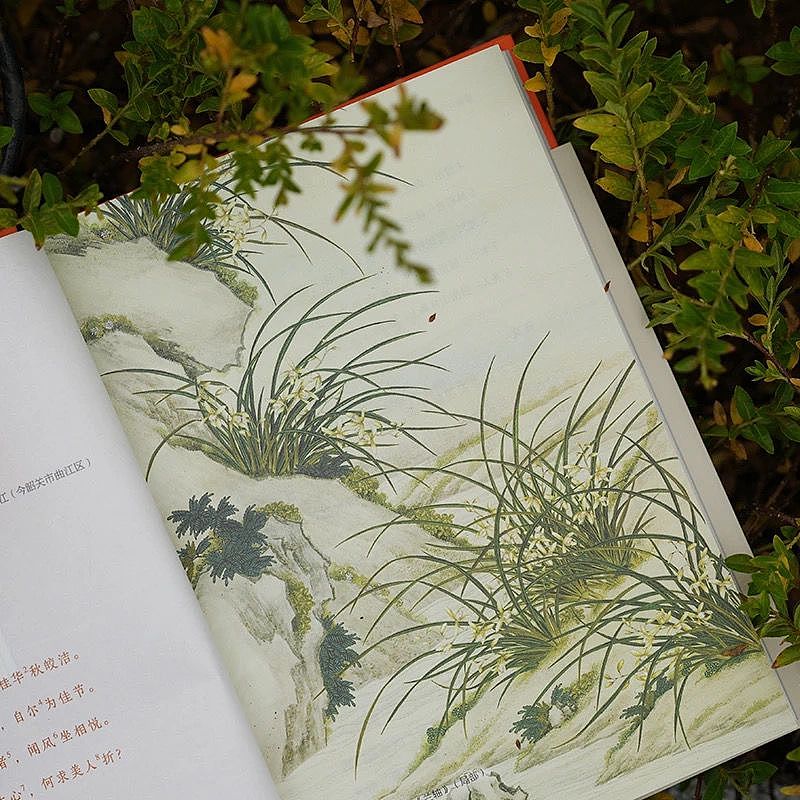 唐诗三百首（全本全注全译全彩图本）（图ZMzc5ODc0MTQ0） - 书籍/画册 - 站酷设计师优文设计原创素材 - 站酷ZCOOL