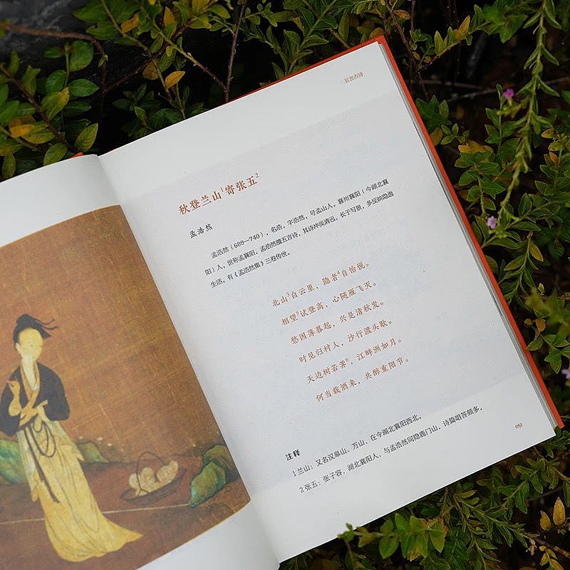 唐诗三百首（全本全注全译全彩图本）（图ZMzc5ODc0MTUy） - 书籍/画册 - 站酷设计师优文设计原创素材 - 站酷ZCOOL