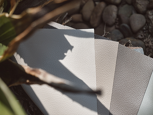 带上皮板去森林拍摄//一组皮板外拍作品