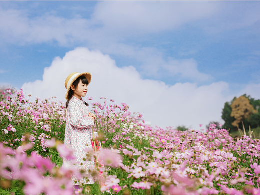 花开满山坡