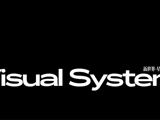 新世界·星辉视觉系统