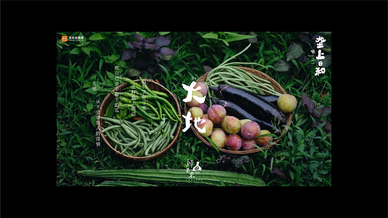 十里莲江·陇上日和品牌+文创包装（图ZMzc5OTMzNzY4） - 品牌 - 站酷设计师大C的视界原创素材 - 站酷ZCOOL