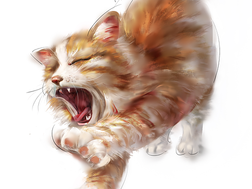 猫猫伸懒腰！