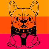 亿颗柠檬糖的头像