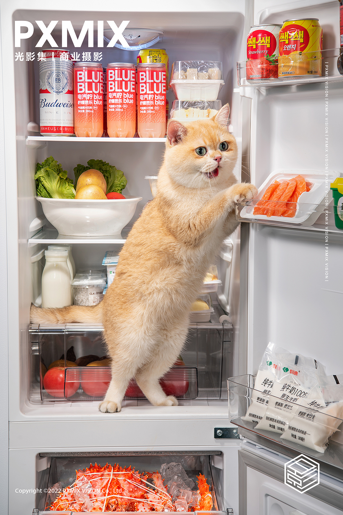 宠物用品摄影丨猫大力猫粮+包装白底 x 光影集 PXMIX（图ZMzc5OTcyMTA4） - 产品摄影 - 站酷设计师光影集原创素材 - 站酷ZCOOL