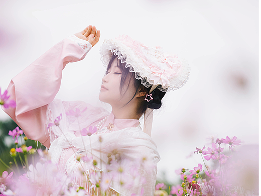 格桑花海
