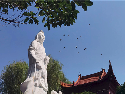 《香火》长沙开福寺微纪录片 || 小组摄影作业