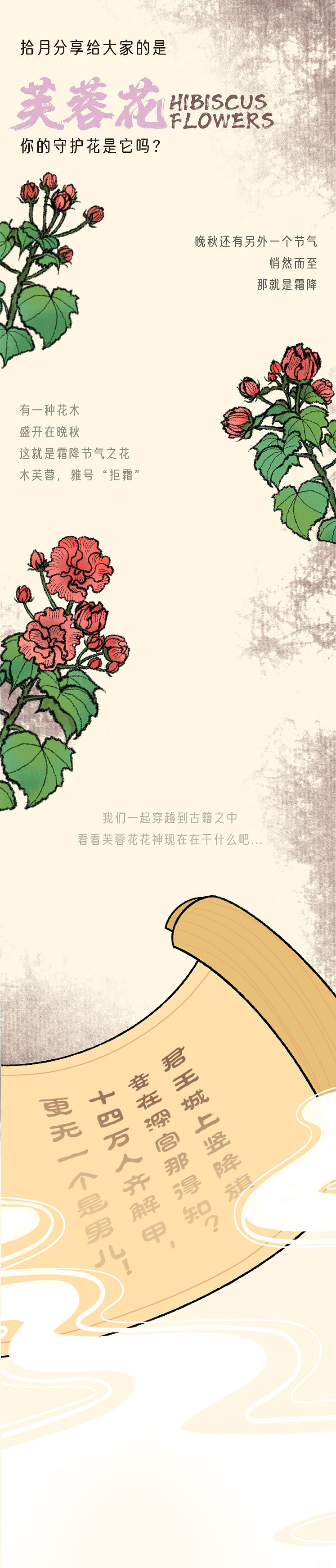 拾月芙蓉花-十二花神图鉴