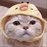 渲个铲铲的头像