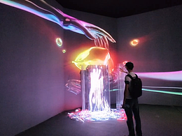 作品速览_新媒体艺术类