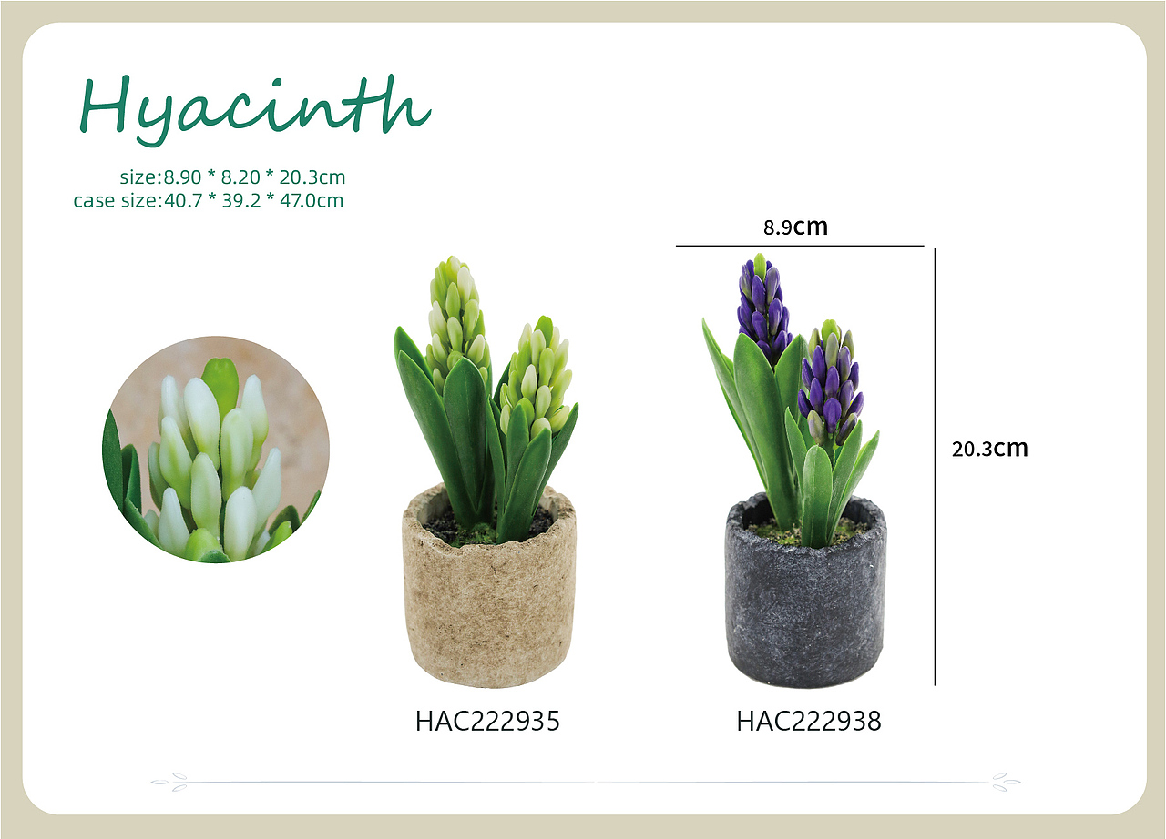 HACCLE——仿真绿植产品画册 排版风格稿