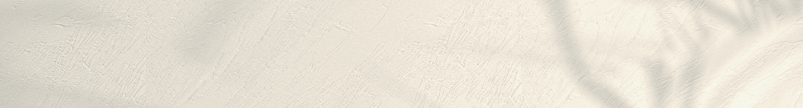 蔡美caimei的个人主页（封面预览） - 主页封面设置 - 站酷设计师蔡美caimei原创素材 - 站酷ZCOOL