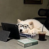 历韵的头像