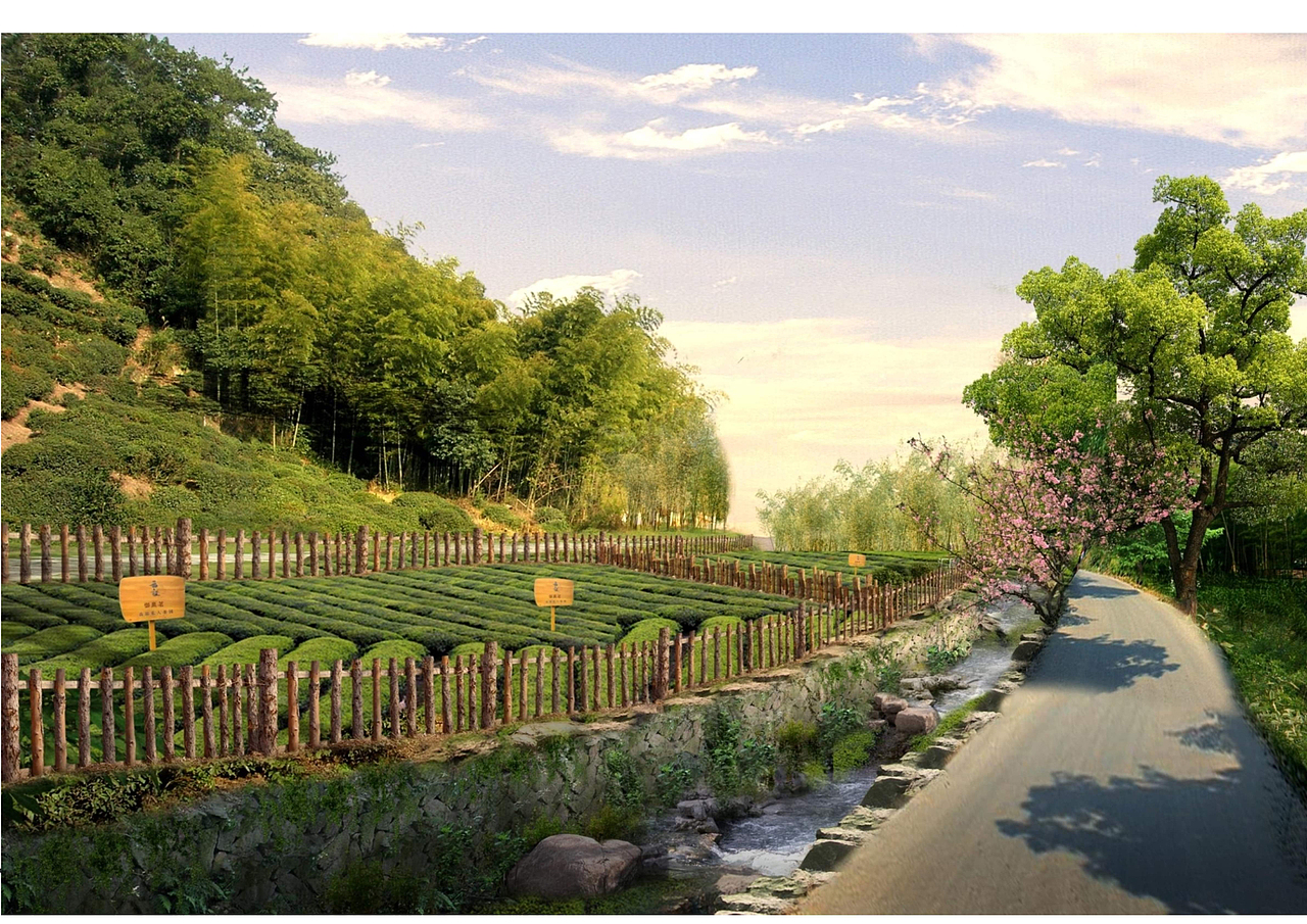 商洛 · 御泉茗庄园——秦岭泉茗