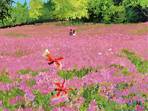 蜻蜓飞过来