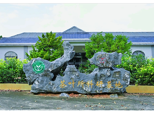 宣传片TVC-白云茶文化基地（广东省农科院茶叶研究所）