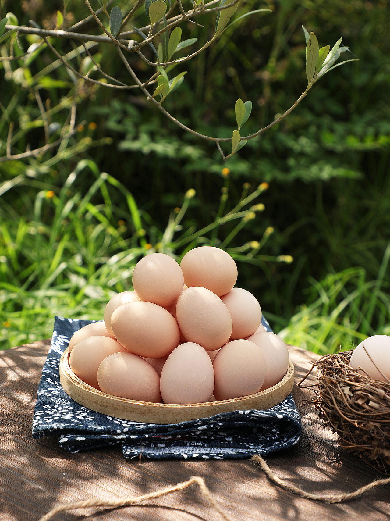 种植园,农场,鸡场,鸡蛋拍摄