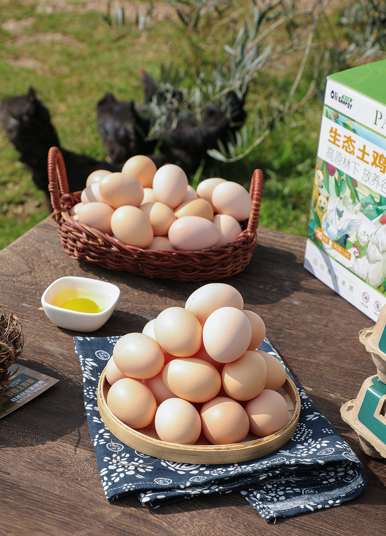 种植园,农场,鸡场,鸡蛋拍摄