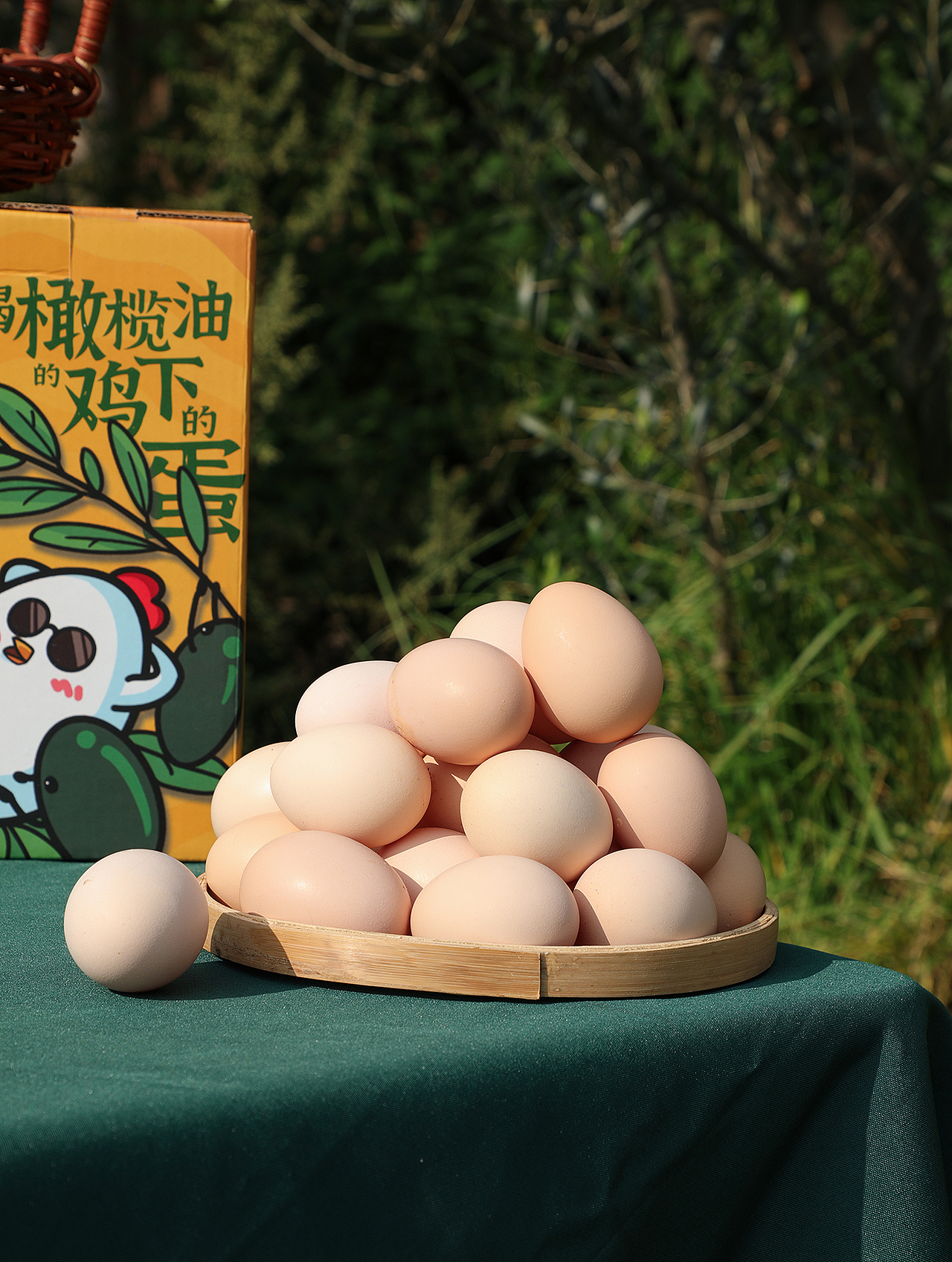 种植园,农场,鸡场,鸡蛋拍摄