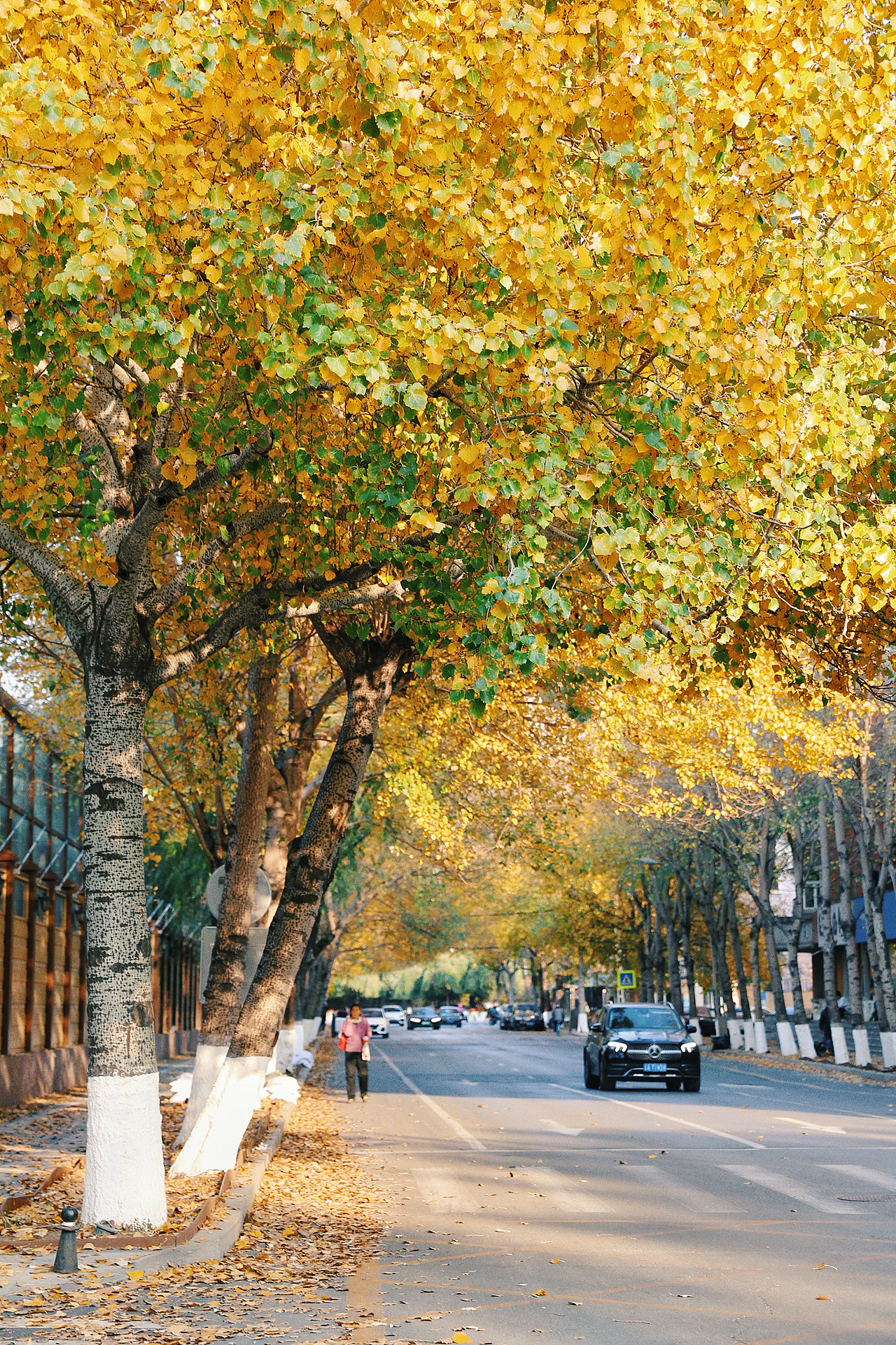 留住2024最后的秋色（图ZMzgwMTI5OTIw） - 风光摄影 - 站酷设计师沫然不忘原创素材 - 站酷ZCOOL