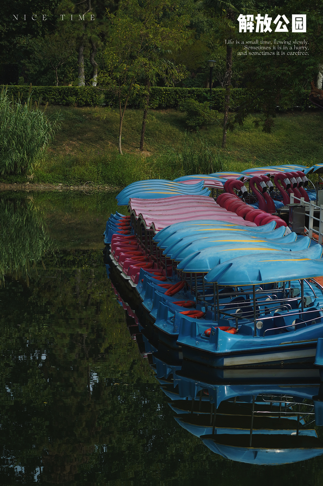 📸 中秋节丨解放公园（图ZMzgwMTMwMjA0） - 人文/纪实摄影 - 站酷设计师赛因sin丶原创素材 - 站酷ZCOOL