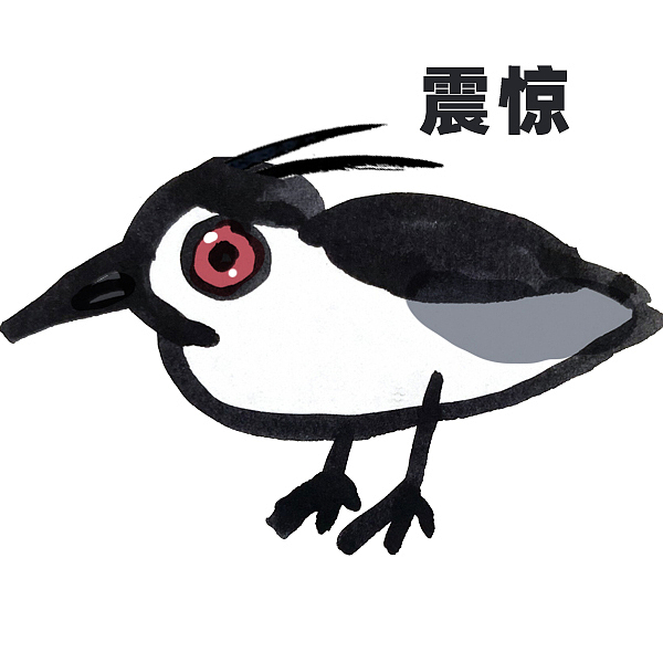 佛系夜鹭表情包（图ZMzgwMTM2NDIw） - 网络表情 - 站酷设计师猫柚子原创素材 - 站酷ZCOOL