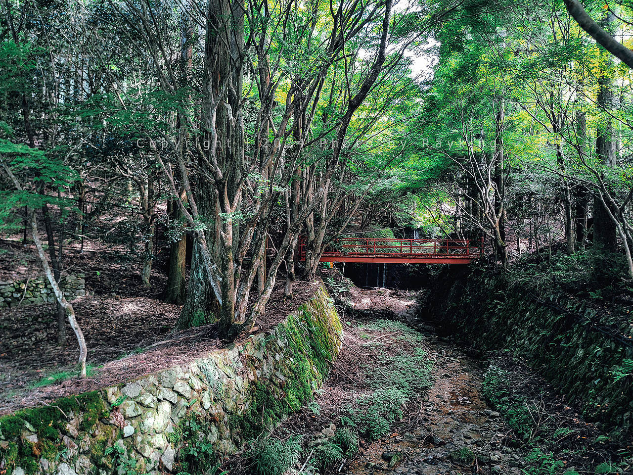 鞍马、贵船—三千院,京都森系探山(图ZMzgwMTQzMzU2) - 风光摄影 - 站酷设计师金钻子原创素材 - 站酷ZCOOL
