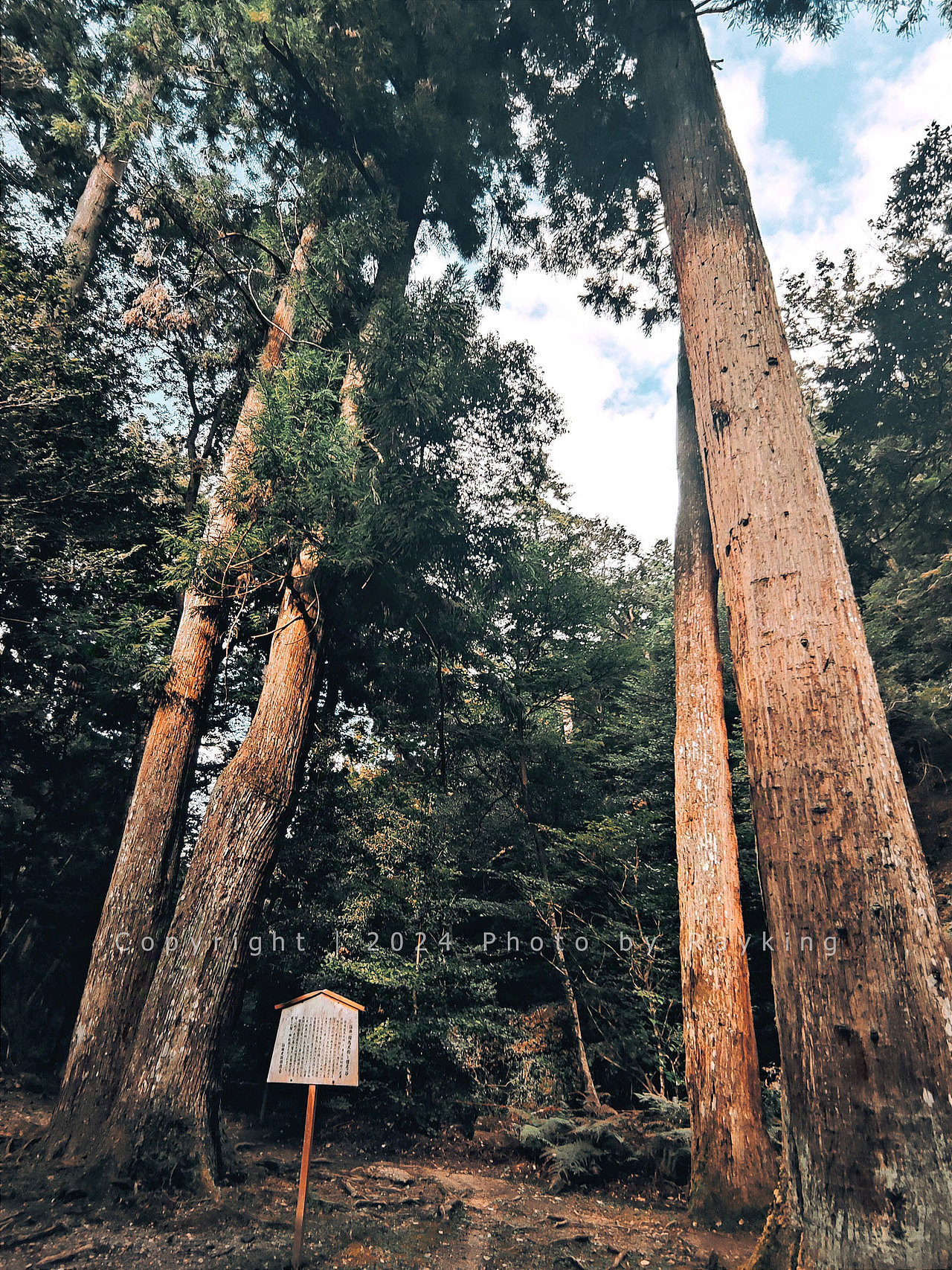 鞍马、贵船—三千院，京都森系探山（图ZMzgwMTQzNDEy） - 风光摄影 - 站酷设计师金钻子原创素材 - 站酷ZCOOL