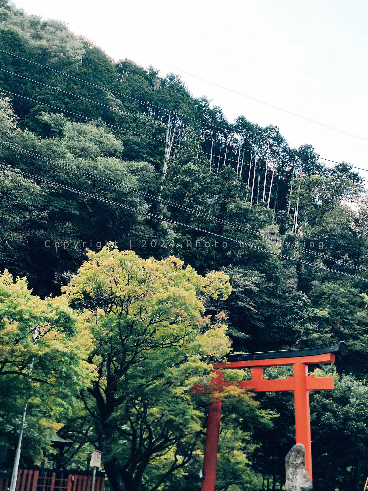鞍马、贵船—三千院,京都森系探山(图ZMzgwMTQzNDI0) - 风光摄影 - 站酷设计师金钻子原创素材 - 站酷ZCOOL