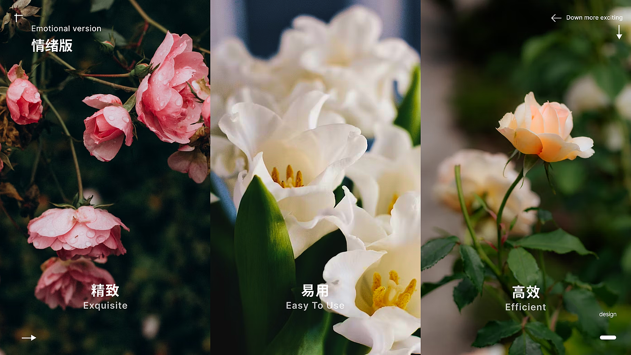 《亿硕花卉 App：指尖上的缤纷花园》（图ZMzgwMTYwNDU2） - APP界面 - 站酷设计师深海里的可可茶原创素材 - 站酷ZCOOL