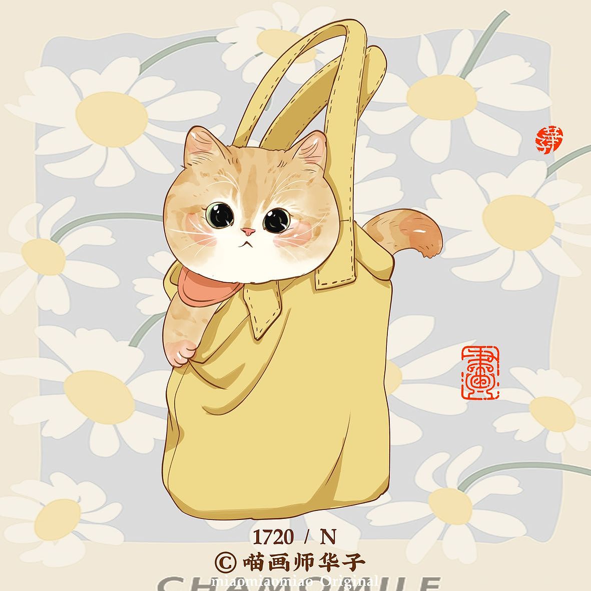 画猫的1701~1750天,带着猫猫闯天涯!我有路过大连